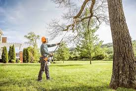 Best Tree Maintenance Programs  in Sur Hill, GA